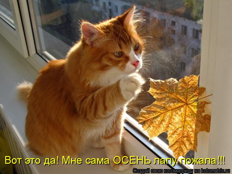 http://filed6-17.my.mail.ru/pic?url=http%3A%2F%2Fkotomatrix.ru%2Fimages%2Flolz%2F2010%2F08%2F22%2F659323.jpg&amp;mw=&amp;mh=&amp;sig=da69daccc5d85f0adcd41cf7b91f169d