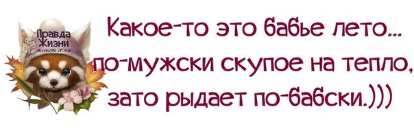Зато тепло было