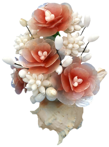 Цветы PNG