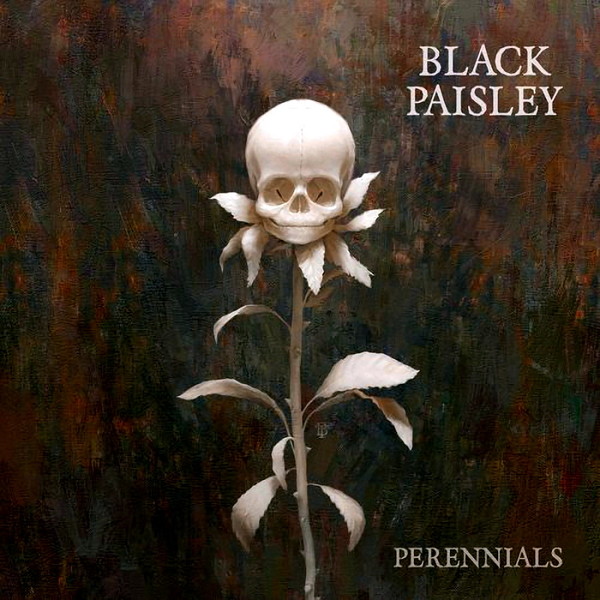 Black Paisley-Perennials